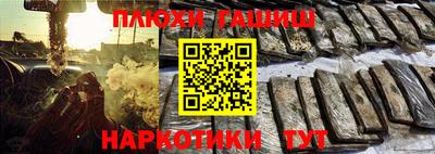 индика Гуково