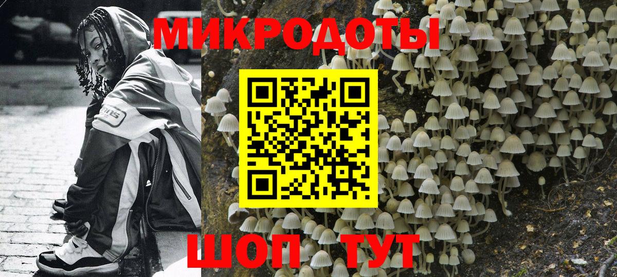 Псилоцибиновые грибы Psilocybe  Псилоцибиновые грибы MAGIC MUSHROOMS  Елабуга  Вход с VPN 