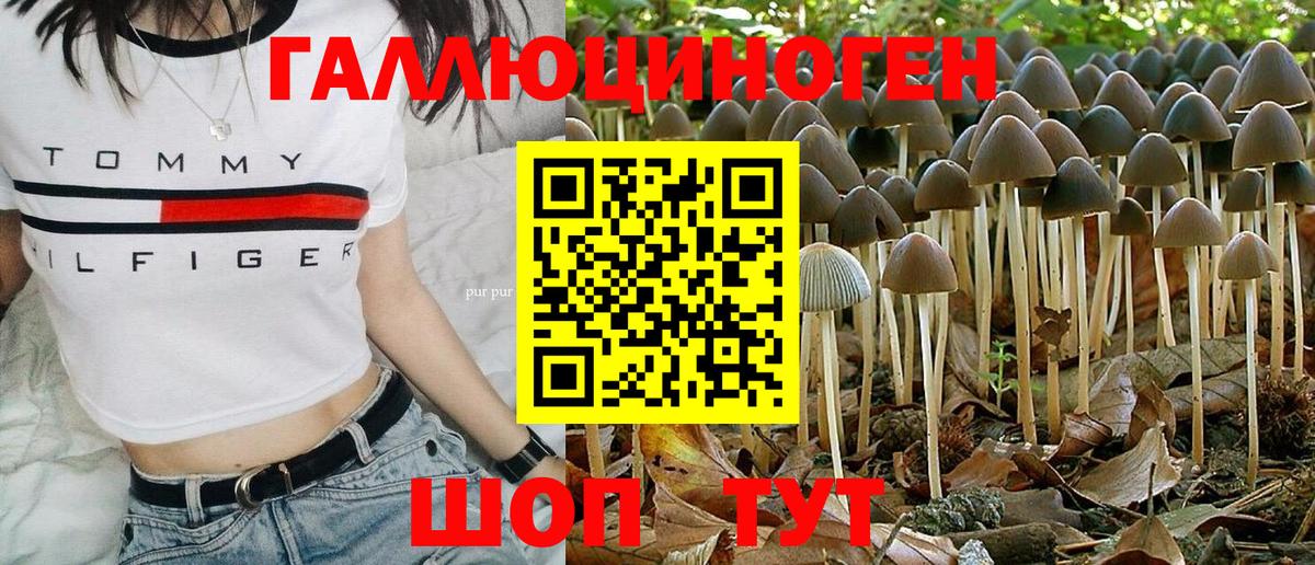 Галлюциногенные грибы мицелий Елабуга
